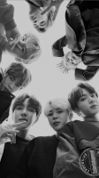 bts black and white group photo