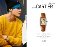 bts v watch