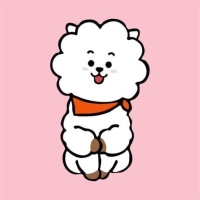 rj bts