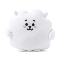 rj bts