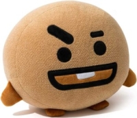 shooky bts