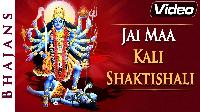 jai maa kali image