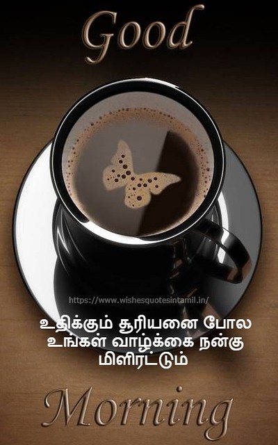 Morning quotes in Tamil to start your day with happiness