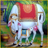 Gau Mata Quotes For Love, Peace, And Prosperity