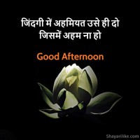 Good Afternoon In Hindi Shayari