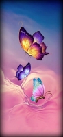 butterfly dp for whatsapp